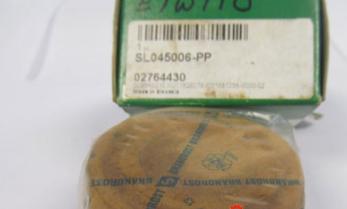 INA SL045006-PP roller bearings